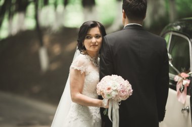 Şık düğün çift, Gelin, damat öpüşme ve retro arabanın yakınında sonbaharda sarılma