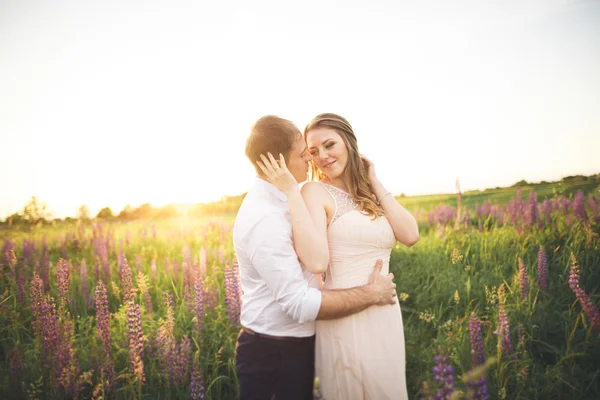 Casal bonito, noiva, noivo beijando e abraçando no pôr do sol campo — Fotografia de Stock