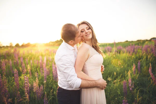 Sposa tiene sposi collo mentre lui la bacia nei raggi del tramonto — Foto Stock