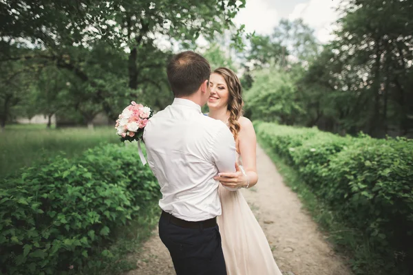 Belo casal de casamento no parque. beijar e abraçar uns aos outros — Fotografia de Stock