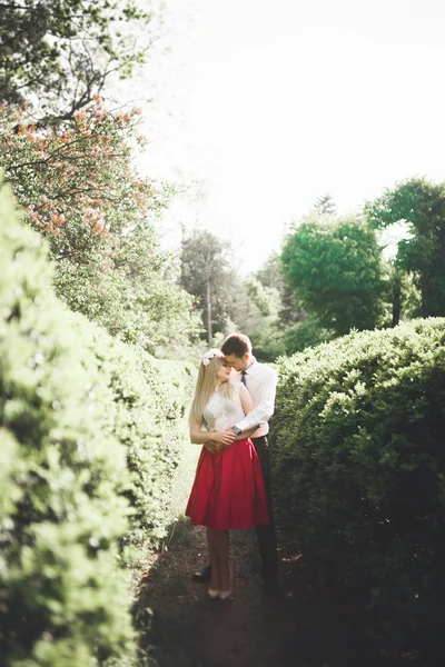 Casal feliz bonito elegante beijando e abraçando no Jardim Botânico — Fotografia de Stock