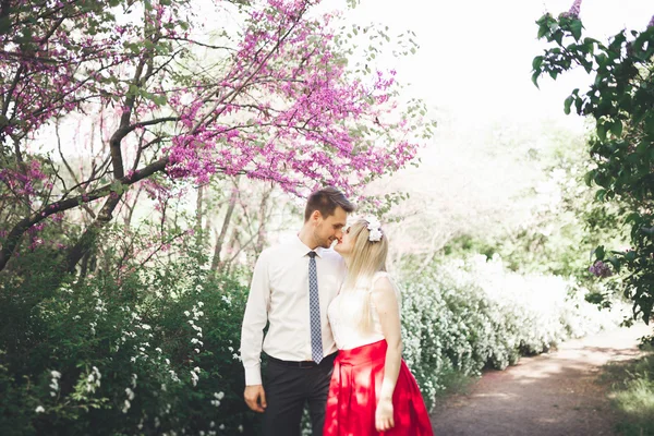 Nuori kaunis pari suudella ja halata lähellä puita kukka kesäpuistossa — kuvapankkivalokuva
