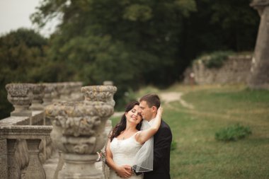 Mutlu düğün kaç sarılma ve öpüşme üzerinde arka plan eski kale