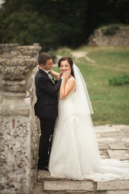 Mutlu düğün kaç sarılma ve öpüşme üzerinde arka plan eski kale