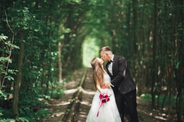 lüks şık genç gelin ve damat üzerinde arka plan bahar güneşli yeşil orman