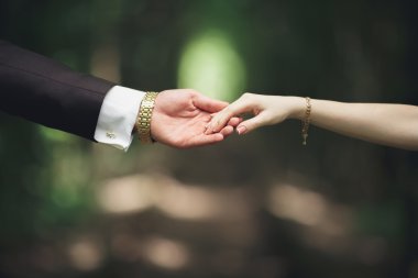 Gelin ve damat el ele tutuşuyor.