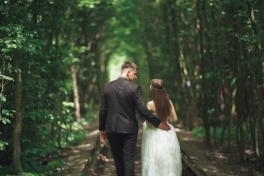 Güzel, mükemmel çift düğün gününde poz