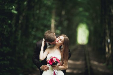 lüks şık genç gelin ve damat üzerinde arka plan bahar güneşli yeşil orman