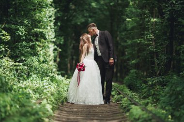 lüks şık genç gelin ve damat üzerinde arka plan bahar güneşli yeşil orman