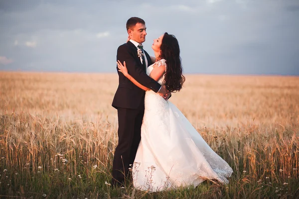 Güzel romantik bir çift yeni evliler gün batımında parkta sarılıyorlar. — Stok fotoğraf