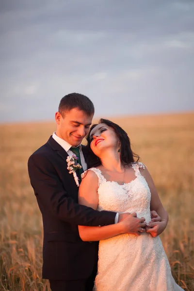 Güzel romantik bir çift yeni evliler gün batımında parkta sarılıyorlar. — Stok fotoğraf