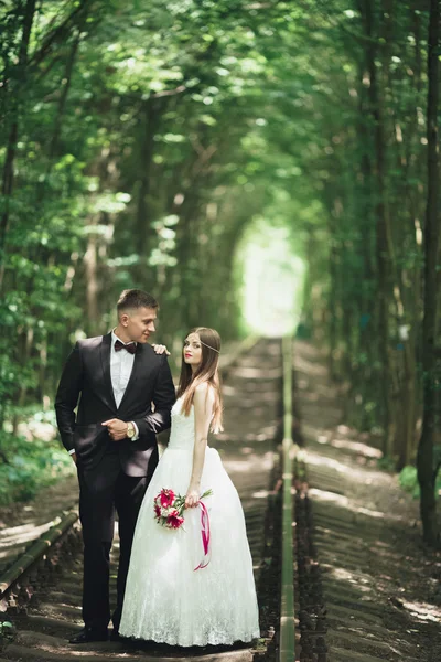 Luxusní stylový mladá nevěsta a ženich na pozadí jarní slunečné zelený Les — Stock fotografie