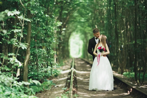 Luxury stylish young bride and groom on the background spring sunny green forest — Stock Photo, Image