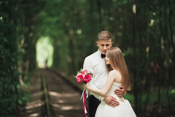 Romantikus newlywed pár csók a fa erdei fenyő — Stock Fotó