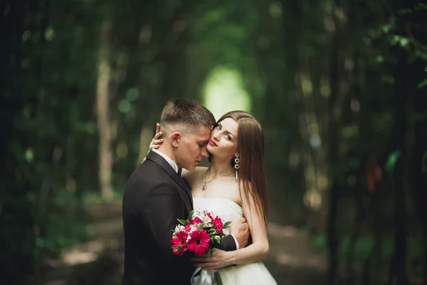 Luxo elegante jovem noiva e noivo no fundo primavera ensolarado floresta verde — Fotografia de Stock