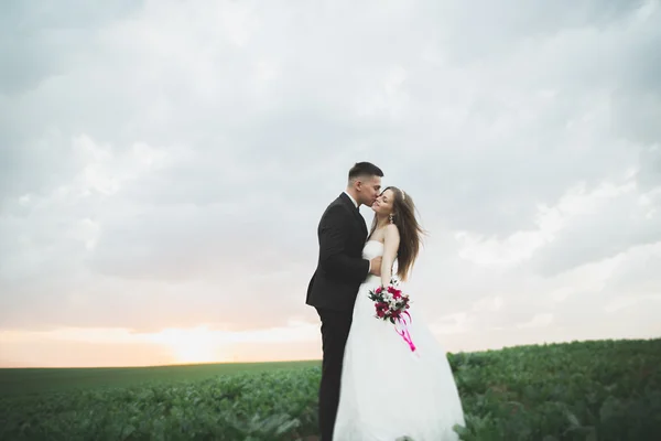 Bella coppia giovane sposa e sposo su sfondo tramonto. Bellissimo cielo — Foto Stock