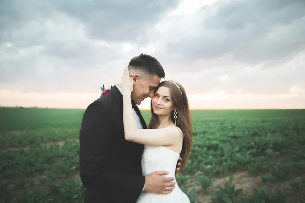 Прекрасная свадебная пара, невеста и жених позируют в поле на закате — стоковое фото