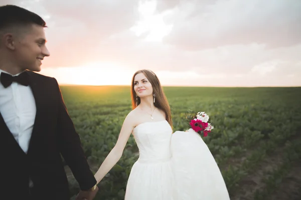 Vackra bröllopsparet, kärlek på solnedgången. Fielf med blommor — Stockfoto