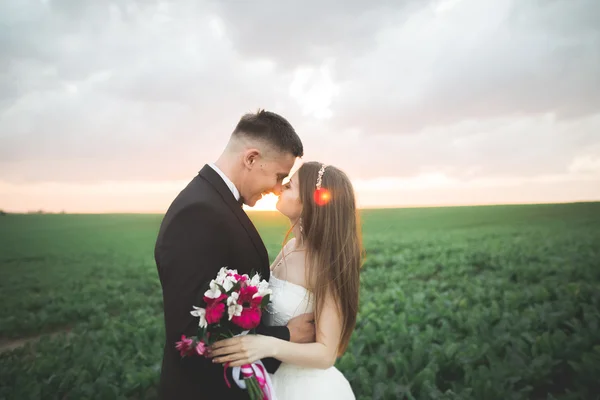 Hermosa pareja de boda, amor al atardecer. Fielf con flores — Foto de Stock