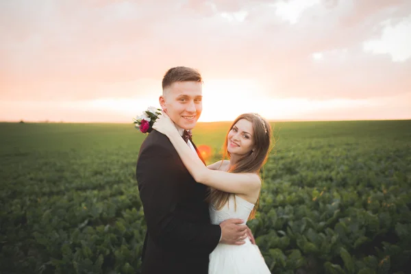 Mooie bruidspaar, liefde op de zonsondergang. Veld met bloemen — Stockfoto