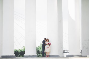 Güzel çift, gelin ve damat büyük beyaz sütun poz