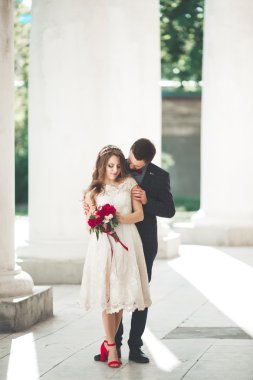 Güzel çift, gelin ve damat büyük beyaz sütun poz