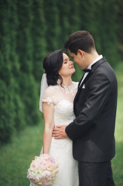 Güzel romantik bir çift yeni evliler gün batımında parkta sarılıyorlar.