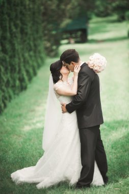 Güzel romantik bir çift yeni evliler gün batımında parkta sarılıyorlar.