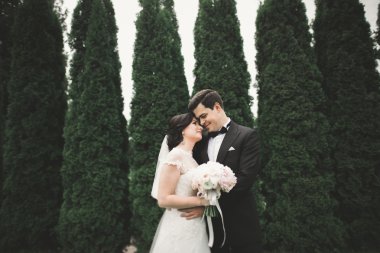 Güzel romantik bir çift yeni evliler gün batımında parkta sarılıyorlar.