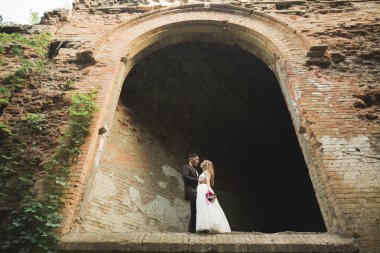 Mutlu yeni evliler yürüyüşte antik castle yakınındaki oteller