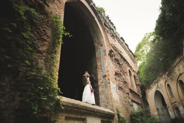 Mutlu yeni evliler yürüyüşte antik castle yakınındaki oteller