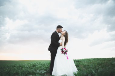 Güzel çift genç gelin ve damat günbatımı arka plan üzerinde. Güzel gökyüzü