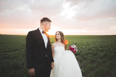 Güzel bir düğün çifti, gelin ve damat gün batımında sahada poz veriyorlar.