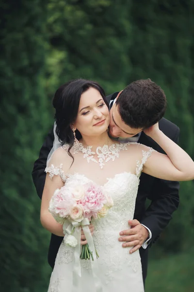 Hermosa pareja romántica de recién casados abrazándose en el parque en la puesta del sol — Foto de Stock