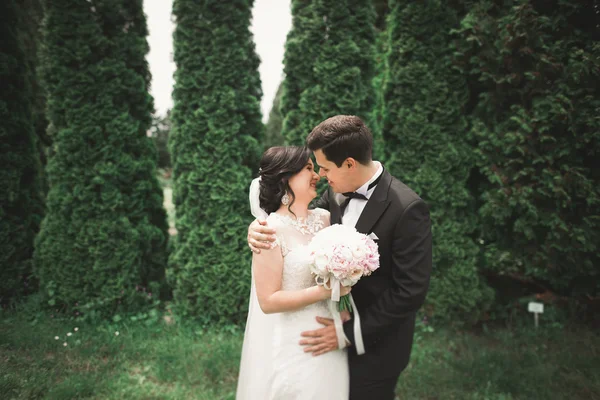 Casal romântico bonito casal de recém-casados abraçando no parque no pôr do sol — Fotografia de Stock