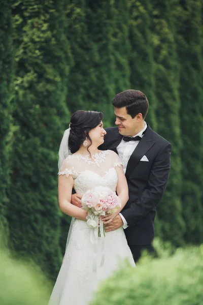 Hermosa pareja romántica de recién casados abrazándose en el parque en la puesta del sol — Foto de Stock