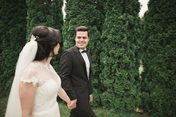 Hermosa pareja romántica de recién casados abrazándose en el parque en la puesta del sol — Foto de Stock