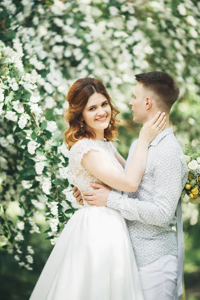 Ρομαντικό, παραμυθένιο, ευτυχισμένο νιόπαντρο ζευγάρι αγκαλιάζει και φιλάει σε ένα πάρκο, δέντρα στο βάθος — Φωτογραφία Αρχείου