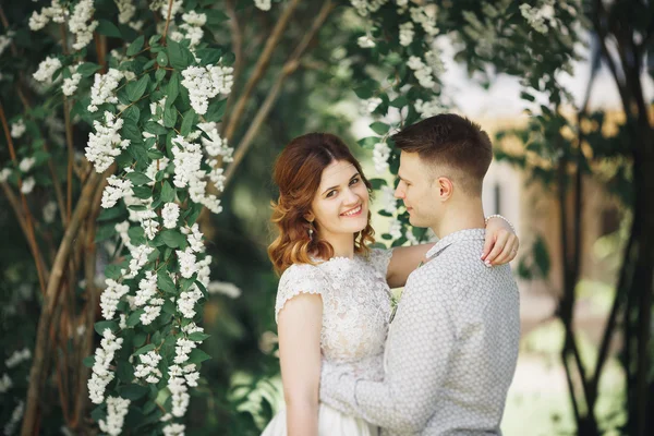 Beautiful, perfect couple posing on their wedding day — Stock Photo, Image