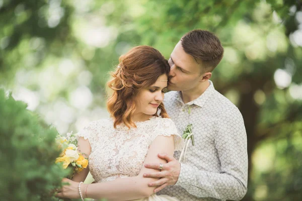 Güzel romantik bir çift yeni evliler gün batımında parkta sarılıyorlar. — Stok fotoğraf