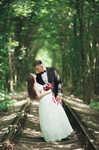 Beijo apaixonado de recém-casados em algum lugar que estavam no parque no pôr do sol — Fotografia de Stock