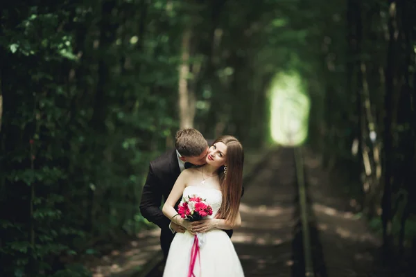 Bacio appassionato degli sposi qualcosaerano nel parco al tramonto — Foto Stock