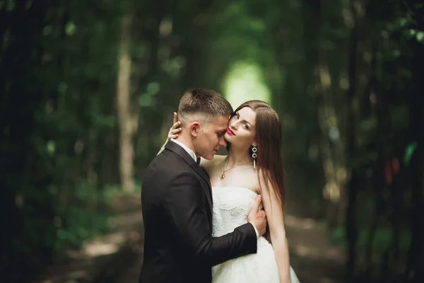 Beijo apaixonado de recém-casados em algum lugar que estavam no parque no pôr do sol — Fotografia de Stock