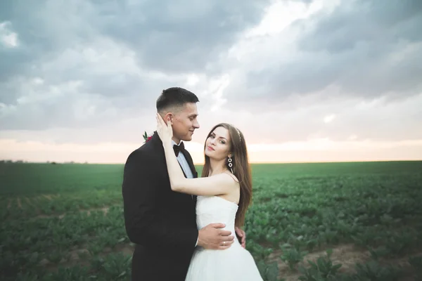 Hermosa pareja de boda, novia y novio posando en el campo durante la puesta del sol — Foto de Stock