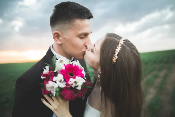 Весілля, красива романтична наречена і наречена цілуються на заході сонця — стокове фото