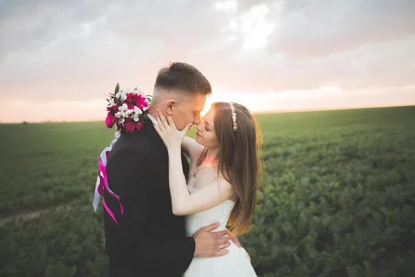 Hermosa pareja de boda, novia y novio posando en el campo durante la puesta del sol —  Fotos de Stock