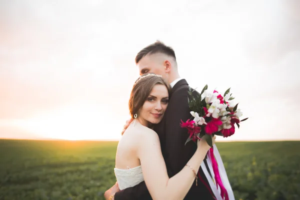 Güzel bir düğün çifti, gelin ve damat gün batımında sahada poz veriyorlar. — Stok fotoğraf