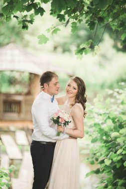 sarılma ve öpüşme köprüde Düğün çifti