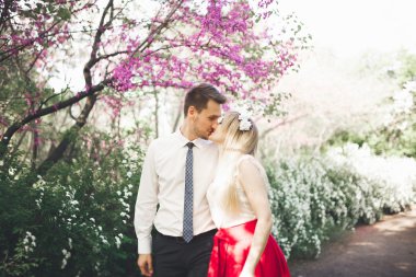 Genç güzel çift öpüşme ve ağaçları ile çiçeği yaz Park yakınındaki sarılma