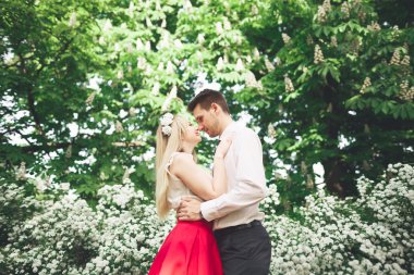 Genç güzel çift öpüşme ve ağaçları ile çiçeği yaz Park yakınındaki sarılma